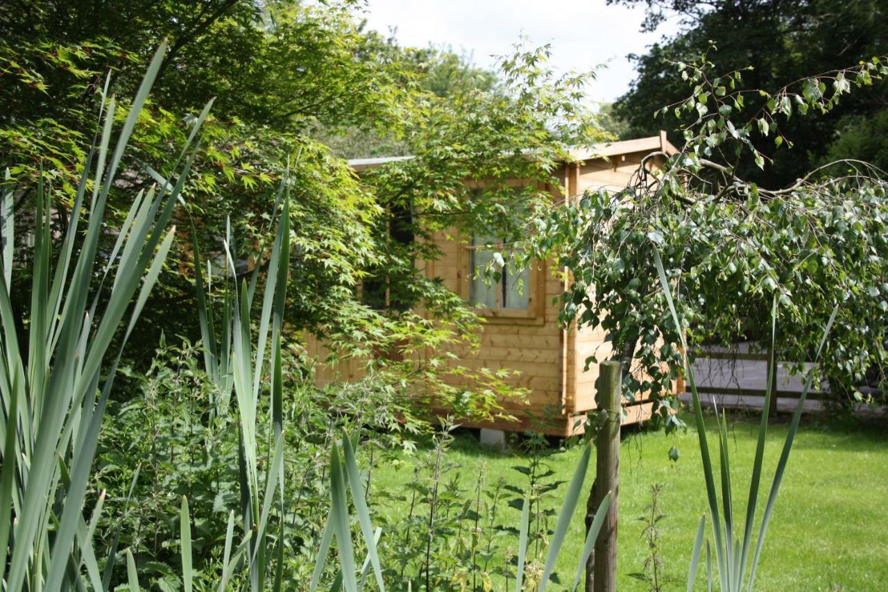 Owl Lodge Cowling Buitenkant foto
