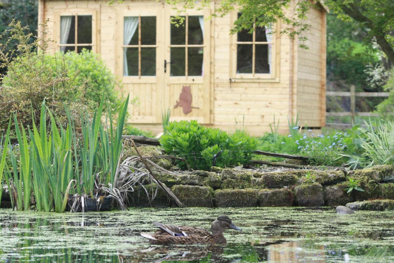 Owl Lodge Cowling Buitenkant foto